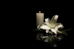 Beautiful,Lily,And,Burning,Candle,On,Dark,Background,With,Space