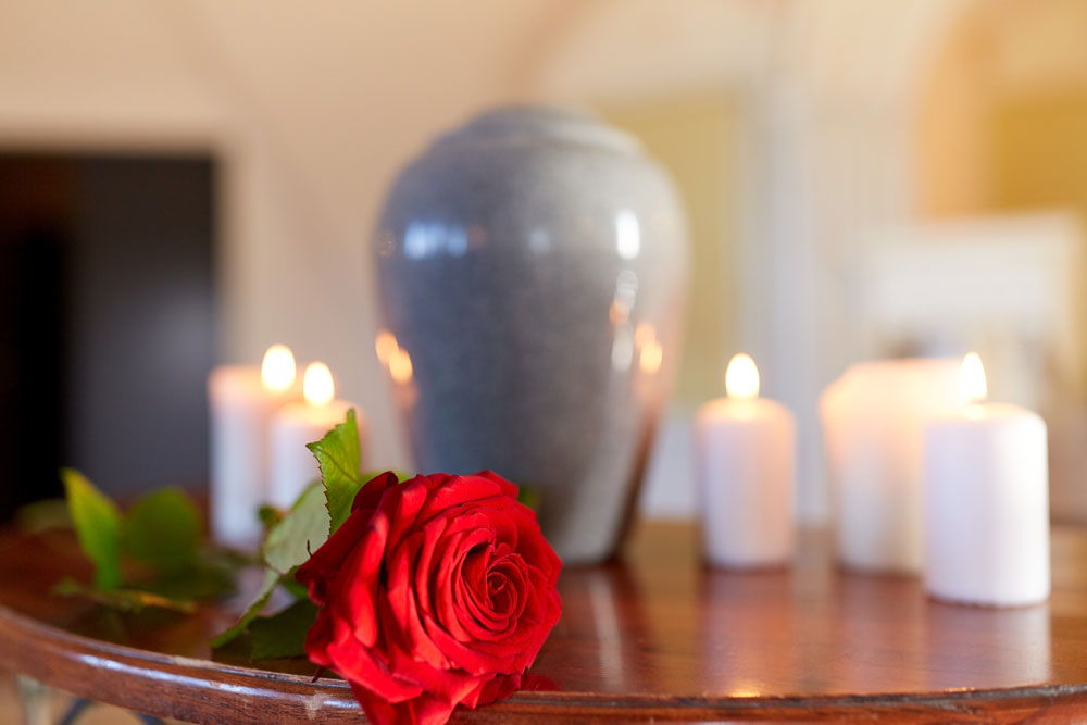 Flower on table